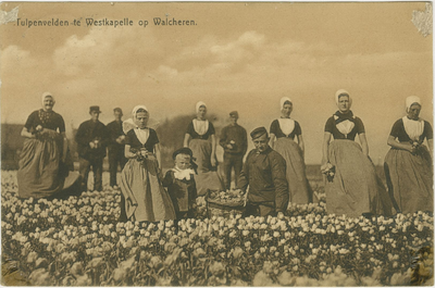 455-1136 Tulpenvelden te Westkapelle op Walcheren.. Personen in dracht in een tulpenveld te Westkapelle