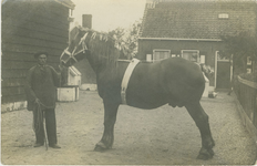 455-1270 Jacob Brouwer (*1886) met een voor het ringrijden versierd Zeeuws trekpaard
