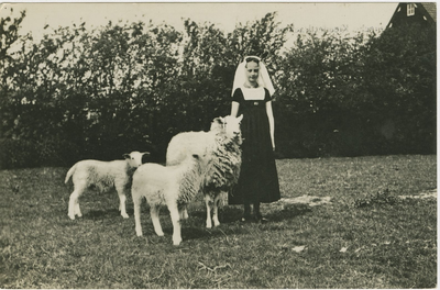 455-1317 Walchersche Kleederdrachten.. Een meisje in Walcherse dracht in een schapenwei