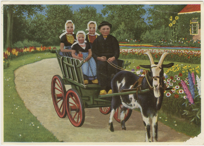 455-1343 Holland Zeeuwse klederdrachten - Per bokkewagen. Vier kinderen in dracht op een bokkenwagen in een tuin