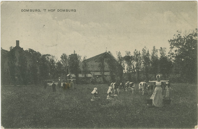 455-427 Domburg, 't Hof Domburg. Vrouwen en kinderen in dracht in een weiland op 't Hof Domburg