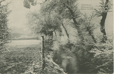 455-43 Middelburg Wintergezicht tijdens de mist. Berijpte bomen langs een sloot te Middelburg