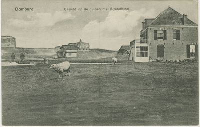 455-475 Domburg Gezicht op de duinen met Strandhotel. Gezicht op enkele villa's en het Strandhotel in de duinen te Domburg