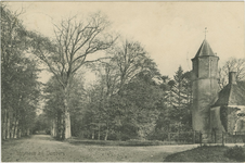 455-518 Westhove bij Domburg. Gezicht op een bomenlaan ter hoogte van kasteel Westhove bij Oostkapelle