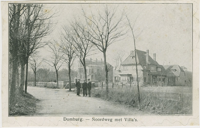 455-525 Domburg. - Noordweg met Villa's.. Villa's aan de Noordweg te Domburg