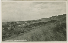 455-680 Duingezicht, Dishoek-Koudekerke. Gezicht op de duinen bij Dishoek