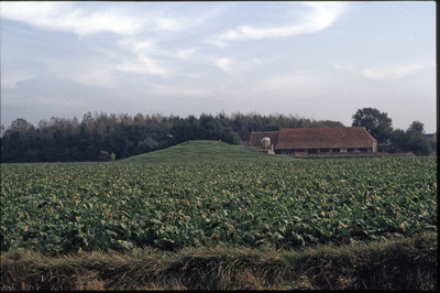 523-50 Een boerderij en een vliedberg op Walcheren