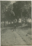 557-54 Een jongen met een kruiwagen bij een boomdijk op Zuid-Beveland