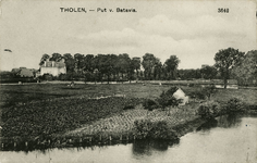 600-226 Tholen, - Put v. Batavia.. De Put van Batavia te Tholen