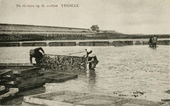 600-275 De Oesters op de zeeften Yerseke. Twee personen bezig met het zeeften van oesters in een bassin te Yerseke