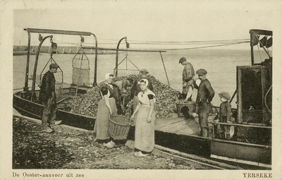 600-277 De Oester-aanvoer uit zee Yerseke. Aanvoer van oesters in de haven te Yerseke