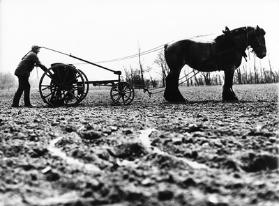 605-7-46 Een boer aan het werk met een door een paard getrokken landbouwwerktuig te Ritthem