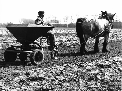 605-7-46A Een boer aan het werk met een door een paard getrokken landbouwwerktuig te Ritthem