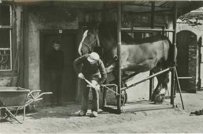 94-48 Smederij Biggekerke. Hoefsmid J.C. Alewijnse bezig met het beslaan van een paard in de hoefsmederij te Biggekerke