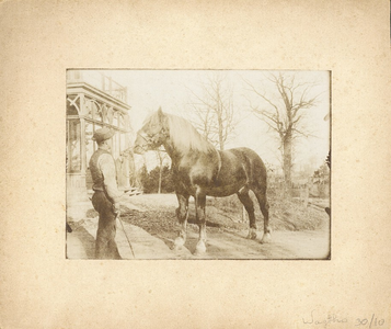 30-10 [10]. Paard geshowd voor het huis Tholen, [c. 1915]