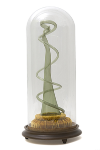WS3612 Groen glazen fluitglas met spiraal, in stolp (met ruwe rand)