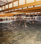 3187-4 Zwembad in recreatiecentrum De Roompot, Mariapolderseweg 1 te Wissenkerke, ontworpen door architect C.J. ...