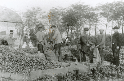 7-41 Boerderij Molenhof, Eversdijkseweg te Biezelinge. Door een overvloedige oogst rond 1920 werd het fruit op het erf ...