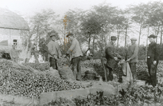 7-41 Boerderij Molenhof, Eversdijkseweg te Biezelinge. Door een overvloedige oogst rond 1920 werd het fruit op het erf ...