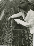 92-5 Instituut voor Plantenziektenkundig Onderzoek in Wageningen