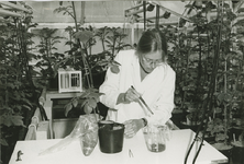 92-6 Instituut voor Plantenziektenkundig Onderzoek in Wageningen