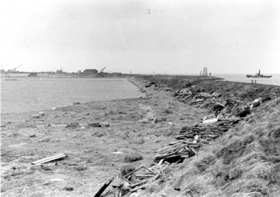 B-1088 Bruinisse. Zijpe. Aangespoeld wrakhout in de polder tegen de zeedijk bij het Zijpe. Op de achtergrond, de remise ...