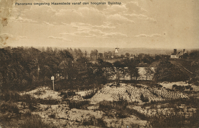 BUR-1448 Panorama omgeving Haamstede vanaf den hoogsten Duintop. Haamstede. Panorama
