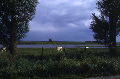 DIA-11024 Oosterland. Lage Rampertseweg. Gezicht over het water van de Geule naar de zeedijk aan de Oosterschelde. De ...