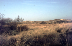 DIA-12267 Haamstede. Zeepeduinen. Vlakte ten noorden van het bosje.