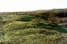 DIA-12271 Haamstede. Het Watergat / Oude Hoeve. Bemoste zandrug bij Pad van Biesterveld.