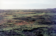 DIA-12272 Haamstede. Het Watergat / Oude Hoeve. Bemoste zandrug bij Pad van Biesterveld.