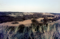 DIA-12273 Haamstede. Oude Hoeve. Gezicht op Oude Hoeve vanaf het Pad van Biesterveld.