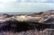 DIA-12289 Haamstede. Meeuwenduinen. Gezicht op zee.