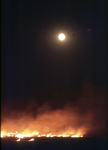DIA-12301 Omgeving Ouwerkerk. Strobrand bij maanlicht.