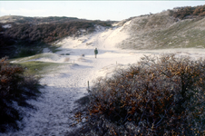 DIA-12322 Haamstede. Meeuwenduinen.