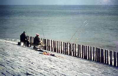 DIA-12342 Westenschouwen. Vissers op de zeedijk.