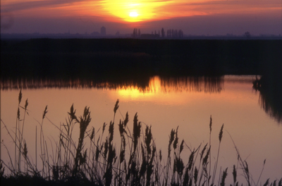 DIA-12403 Zierikzee. Silhouet van de stad, gezien vanaf de Sasdijk/sasput bij Schuddebeurs, bij zonsondergang.