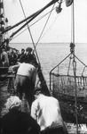 DIA-1345 Oosterschelde. Fossielenexcursie van de vereniging Kor en Bot, met de ZZ 8 op de Oosterschelde. Ophalen van ...