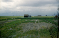 DIA-9648 Schouwen-Duiveland. In de verte (links) zien we de later afgebroken kerk van Elkerzee. Zicht op de Boterhoek