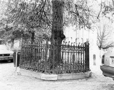 KZN-1894 Zierikzee. Poststraat. Wilhelminalinde.