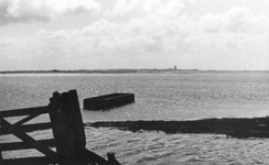 M-0046B Kerkwerve. Omgeving Verseputseweg, ten westen van het dorp, in zuidelijke richting: aan de horizon Zierikzee.