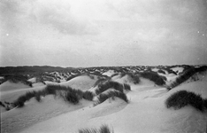 STO-0462 Haamstede. Nieuwe duinen bij het Verklikkerstrand.
