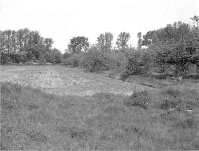 W-0067-5 Renesse. Gedeelte van de boomgaard 'Fasol' gelegen tussen Hogezoom en Zeeanemoonweg. Het terrein werd in 1975 ...