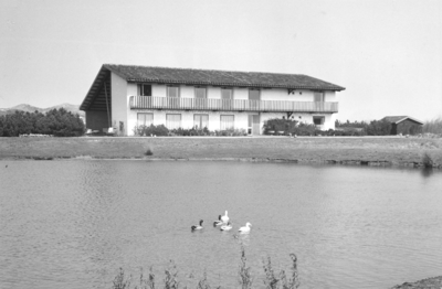 W-0473 Nieuw-Haamstede. Badweg. Villa De Vluchthaven in duingebied. De villa werd gebouwd rond 1957 door Abr. ...