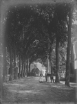 W-0638 Haamstede. Noordstraat, ter hoogte van (rechts) timmerman Willem Gilijamse. (de straat werd omstreeks 1903 bestraat).