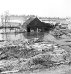 W-1188 Burghsluis. Het boerderijtje van de fam. Van Diest in de Burghse polder. Het echtpaar van Diest is in de ...