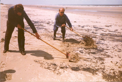 W-1216 Renesse-Noordwelle. Strand. In juni 1982 spoelde olie aan op de stranden. Met groot materieel werd de olie snel ...