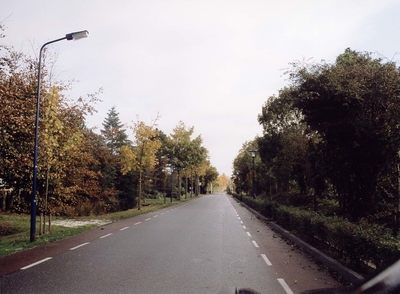 W-1728 Westenschouwen. Hogeweg, ter hoogte van manege Lisi Duna (rechts).