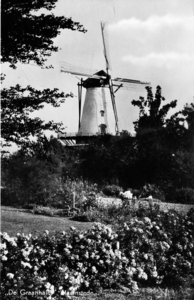 W-1733 Haamstede Burghseweg De korenmolen De Graanhalm , foto vanaf de tuin van het molenhuis aan de Burghseweg