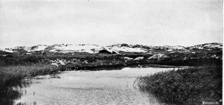 W-1826 Haamstede Westerse Laagte De voormalige eendenkooi in de duinen ten zuiden van de vuurtoren. Op deze foto van ...